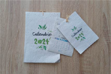 calendrier-graines